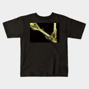 Unique and organic photo of a swarm of ants tending a treehopper Kids T-Shirt